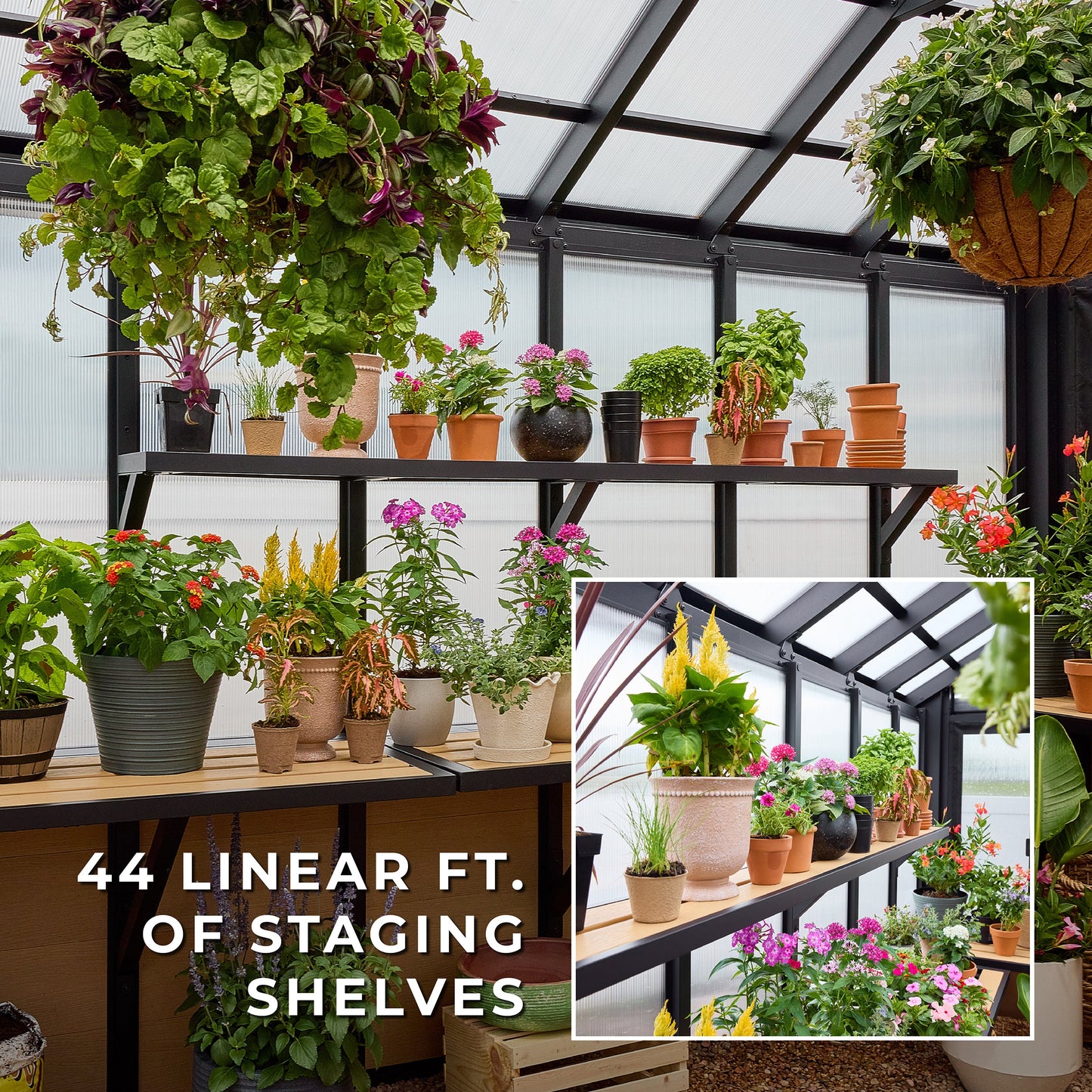14x12 Larkspur Metal Greenhouse