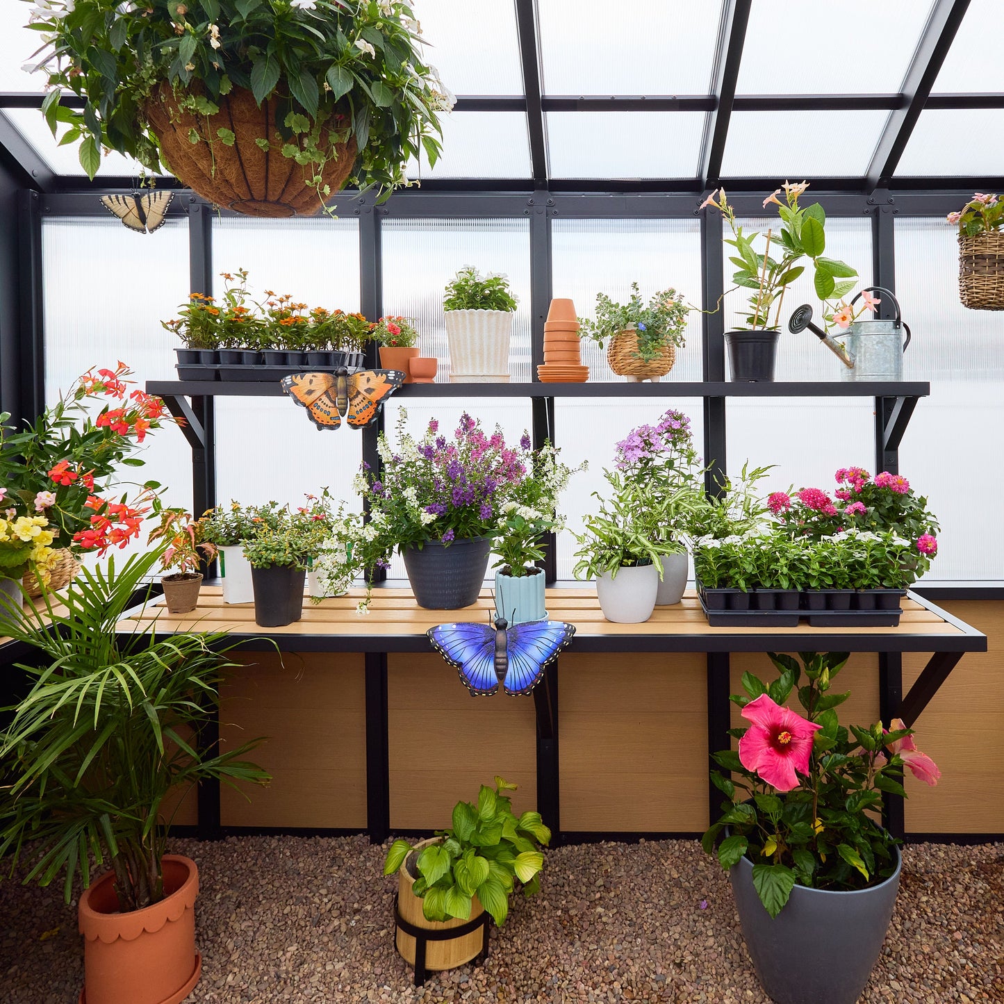 14x12 Larkspur Metal Greenhouse